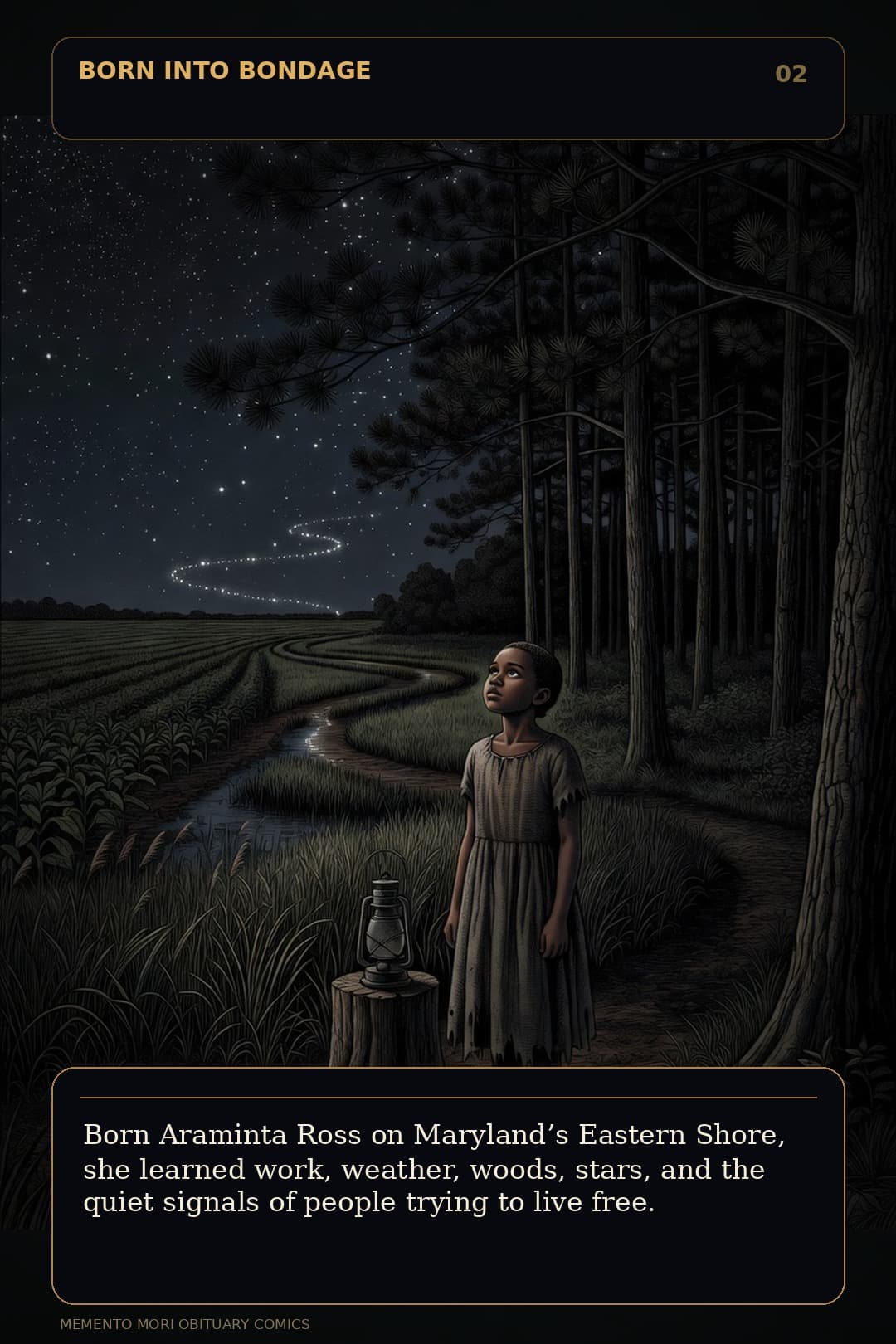 Page 2 of Harriet Tubman: Harriet Tubman: The Road Back